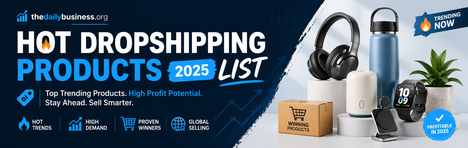 hot dropshipping products 2025 list