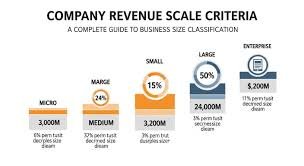 company revenue scale criteria examples